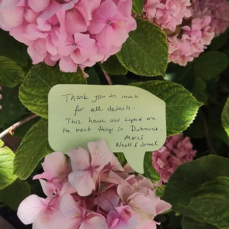 Ava And Pensjonat Dubrownik