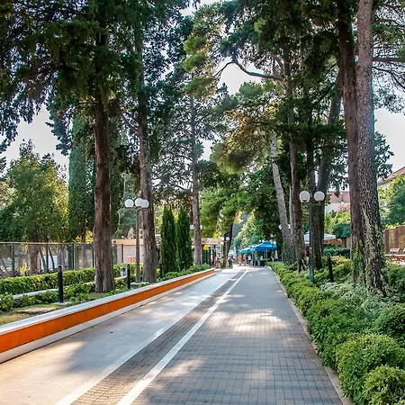 Pensjonat Ava And Dubrownik