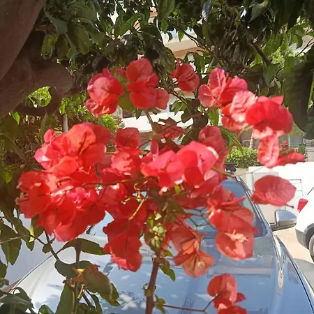 Ava And بيت ضيافة